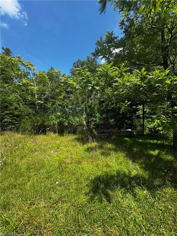 301 Pryor Road Pelham, NC 27311 - Photo 4 of 4