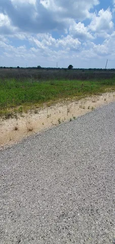a view of a lake with beach and large trees