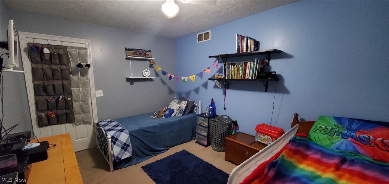 3180 Bates Road Madison, OH 44057 - Photo 22 of 32