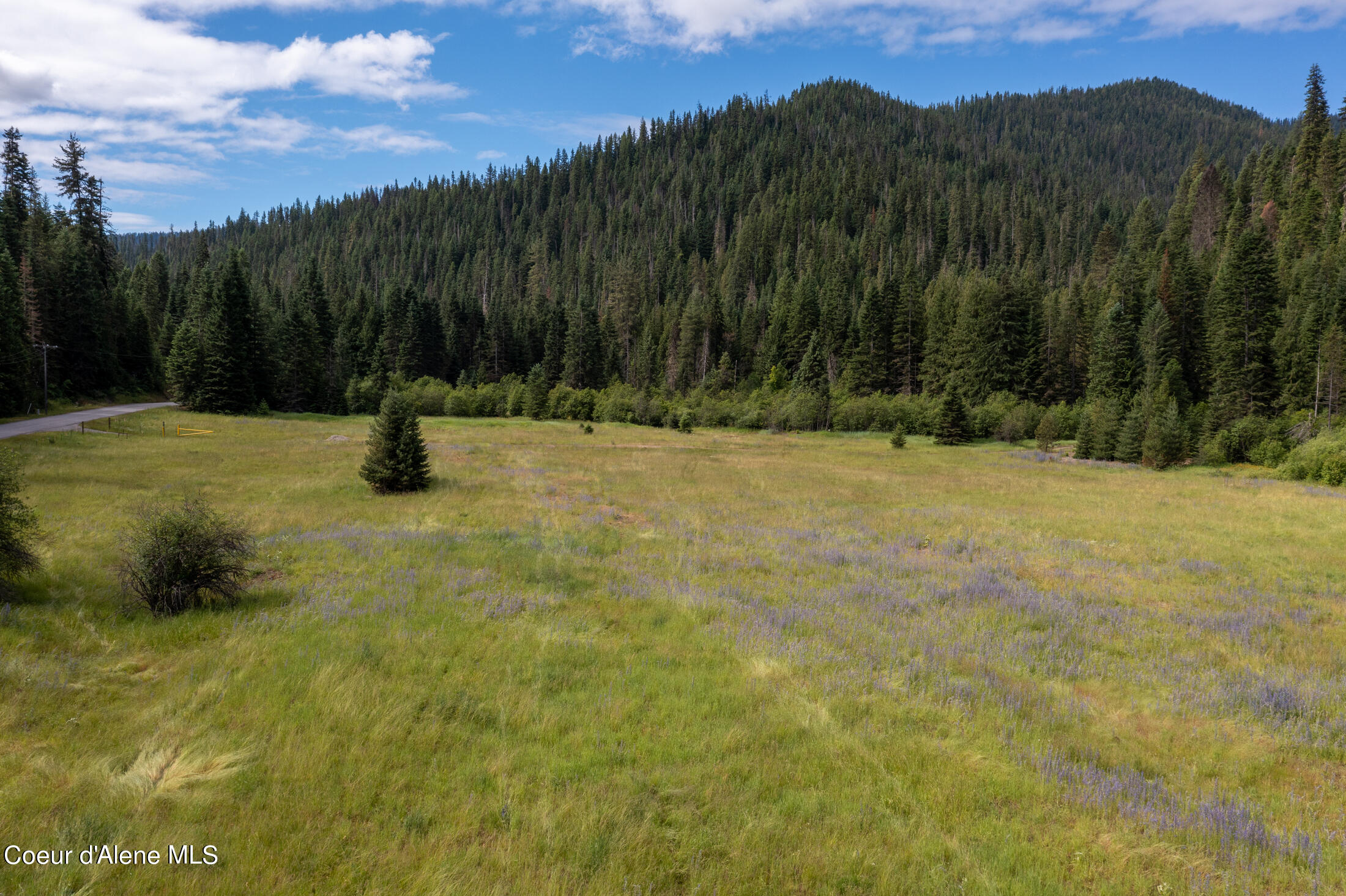 Nna Beaver Creek Road Wallace, ID 83873 - Photo 3 of 57 DJI_0833-HDR-39
