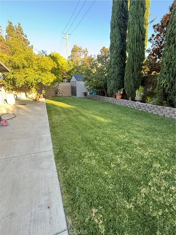 a view of a yard with plants