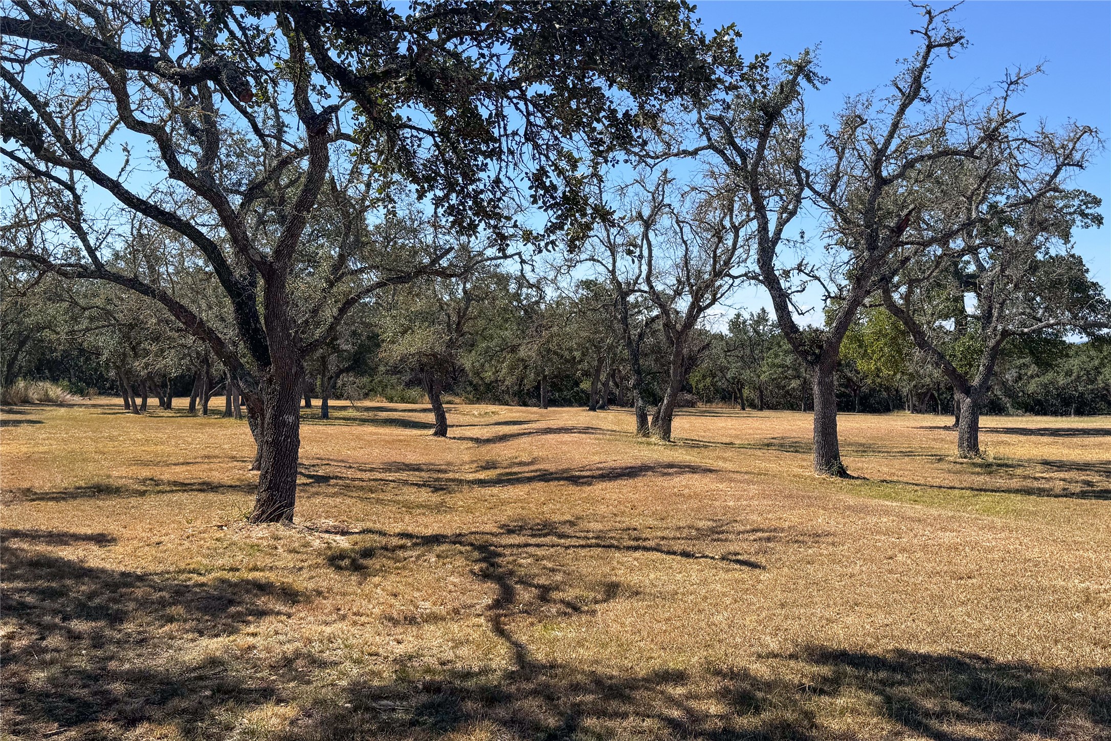 100 Burnett Ranch Road Wimberley, TX 78676 - Photo 28 of 28