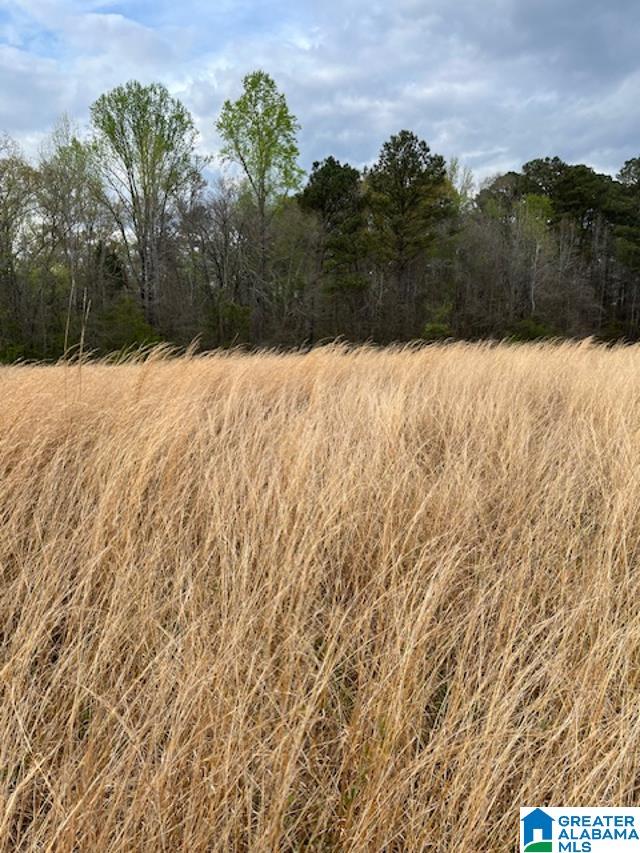 9534 Hicks Road, Unit 3 Pinson, AL 35126 - Photo 3 of 4