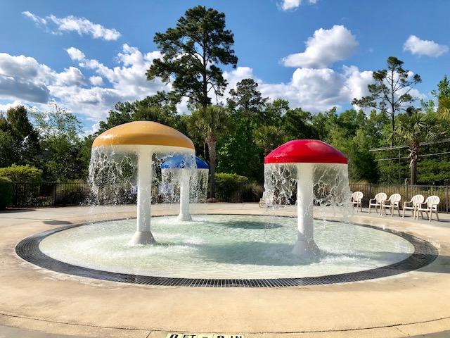 8029 Mckayla Road Summerville, SC 29483 - Photo 42 of 43 IMG_2150
