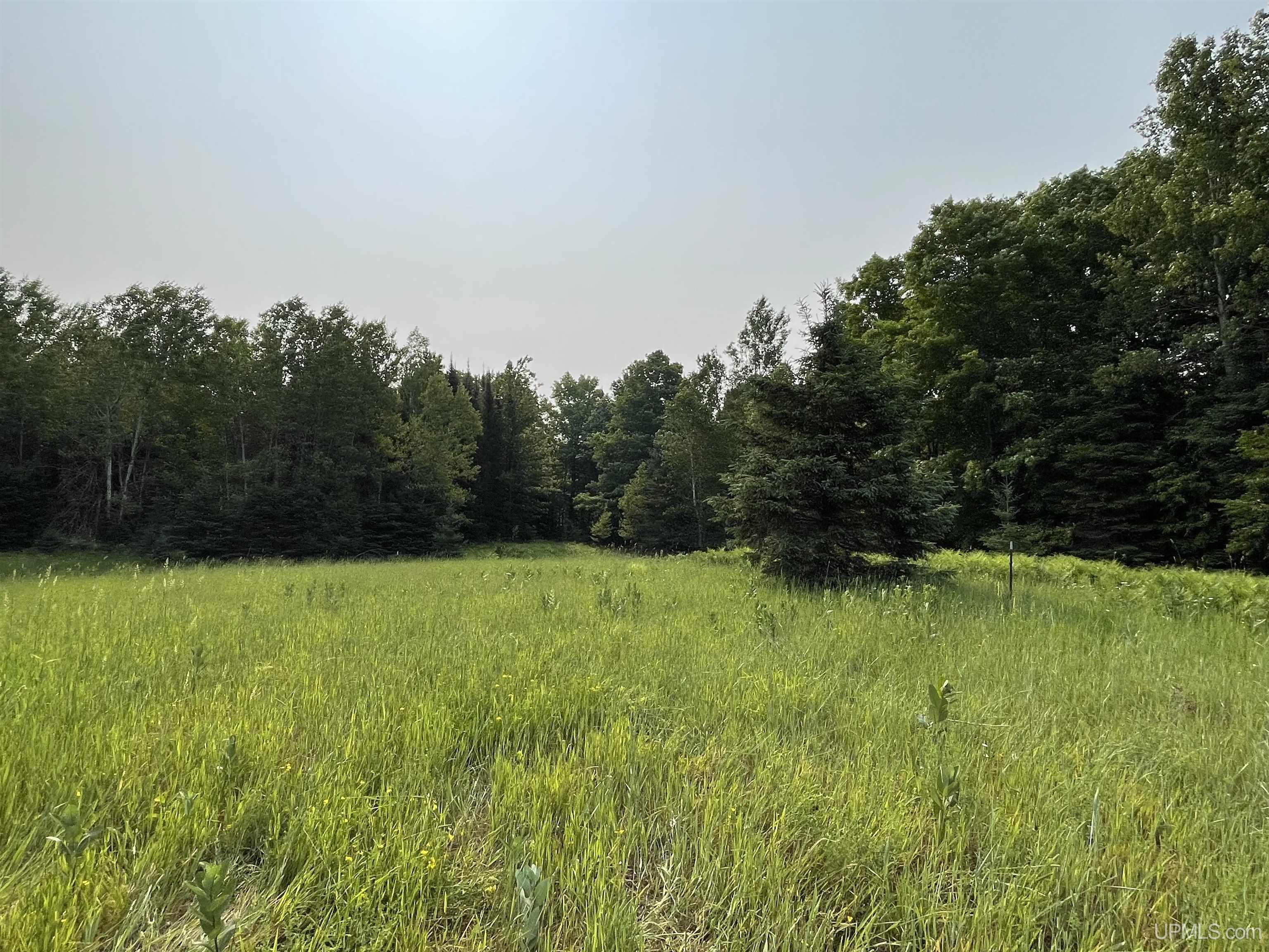 Tbd Kallio Road Trenary, MI 49891 - Photo 9 of 51 Gallery Image 9
