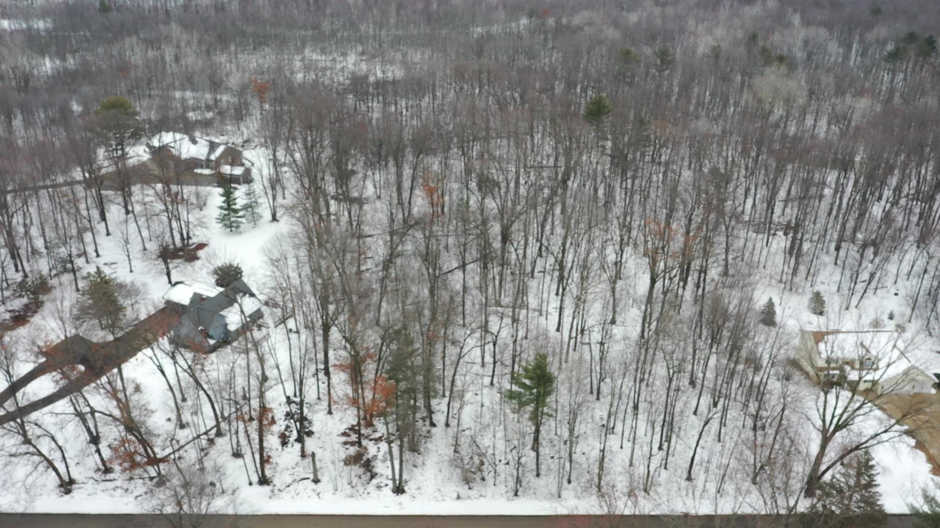 Maple Grove Suamico, WI 54173 - Photo 4 of 13