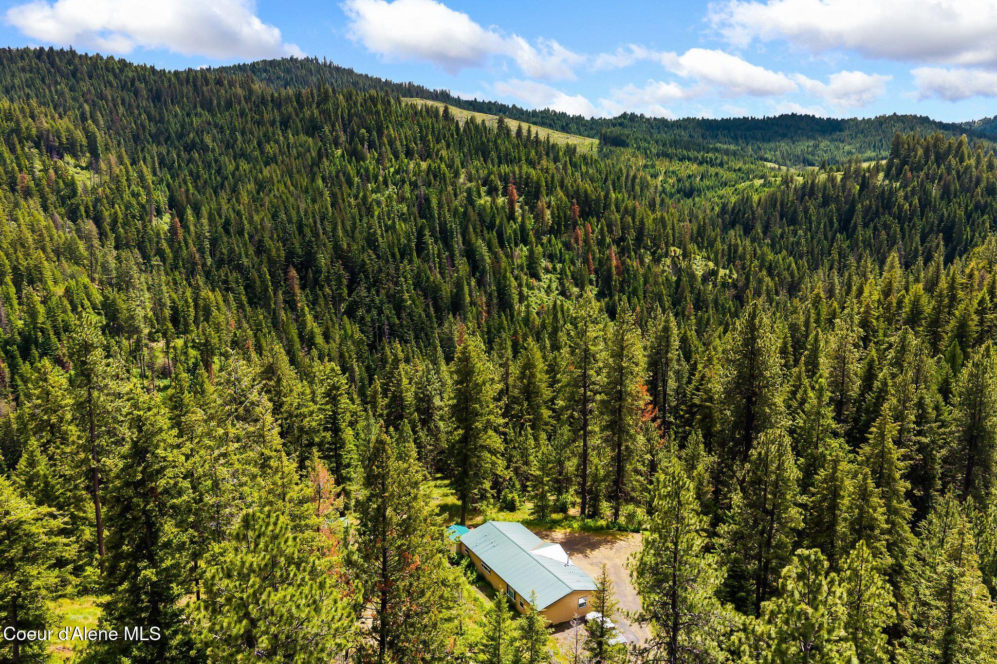 4304 South Elk Road Harrison, ID 83833 - Photo 32 of 39 38_DJI_20260604134010_0257_D