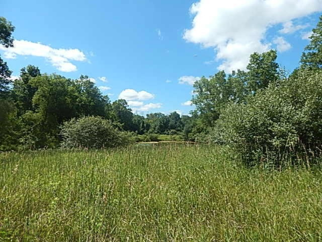 2199 North Seymour Road Flushing, MI 48433 - Photo 13 of 44 DSCN8042