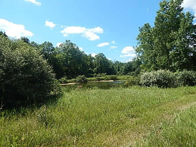 2199 North Seymour Road Flushing, MI 48433 - Photo 14 of 44 DSCN8043