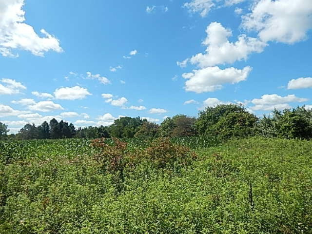 2199 North Seymour Road Flushing, MI 48433 - Photo 29 of 44 DSCN8058