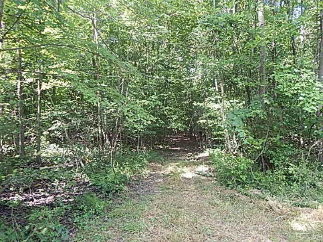 2199 North Seymour Road Flushing, MI 48433 - Photo 35 of 44 DSCN8064