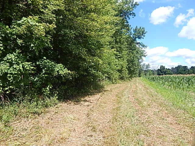 2199 North Seymour Road Flushing, MI 48433 - Photo 36 of 44 DSCN8065