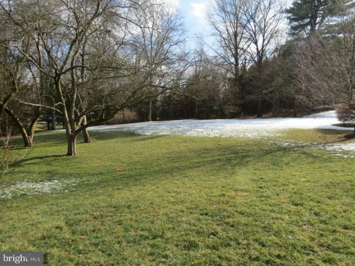 1102 Waterloo Road Berwyn, PA 19312 - Photo 3 of 21 Back Yard