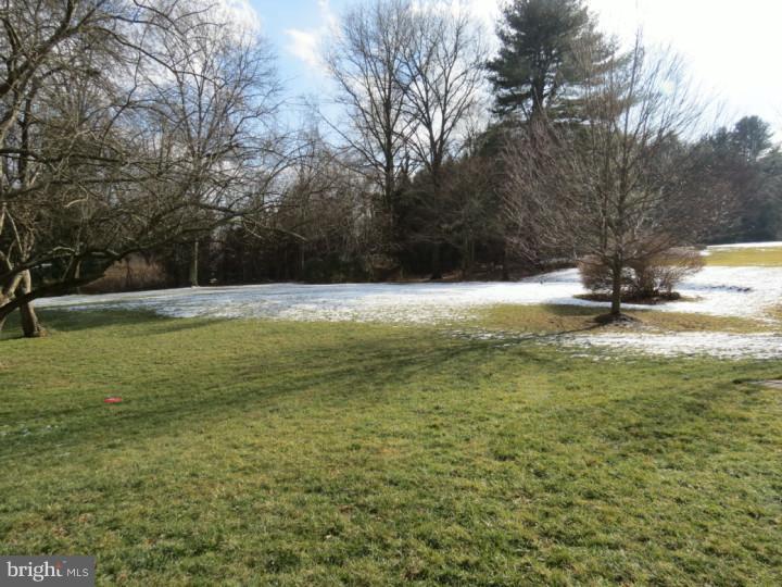 1102 Waterloo Road Berwyn, PA 19312 - Photo 21 of 21 View in Back