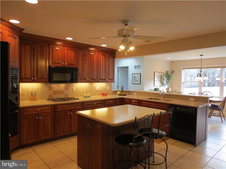 1102 Waterloo Road Berwyn, PA 19312 - Photo 4 of 21 Kitchen