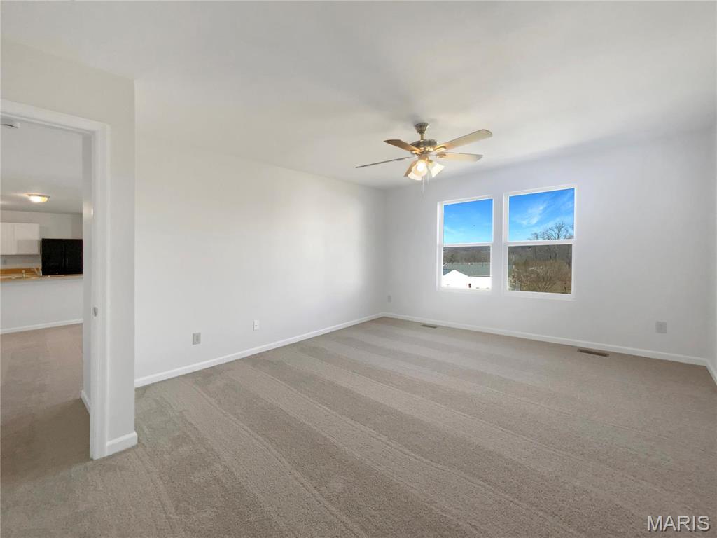 909 Union Place Herculaneum, MO 63048 - Photo 14 of 22