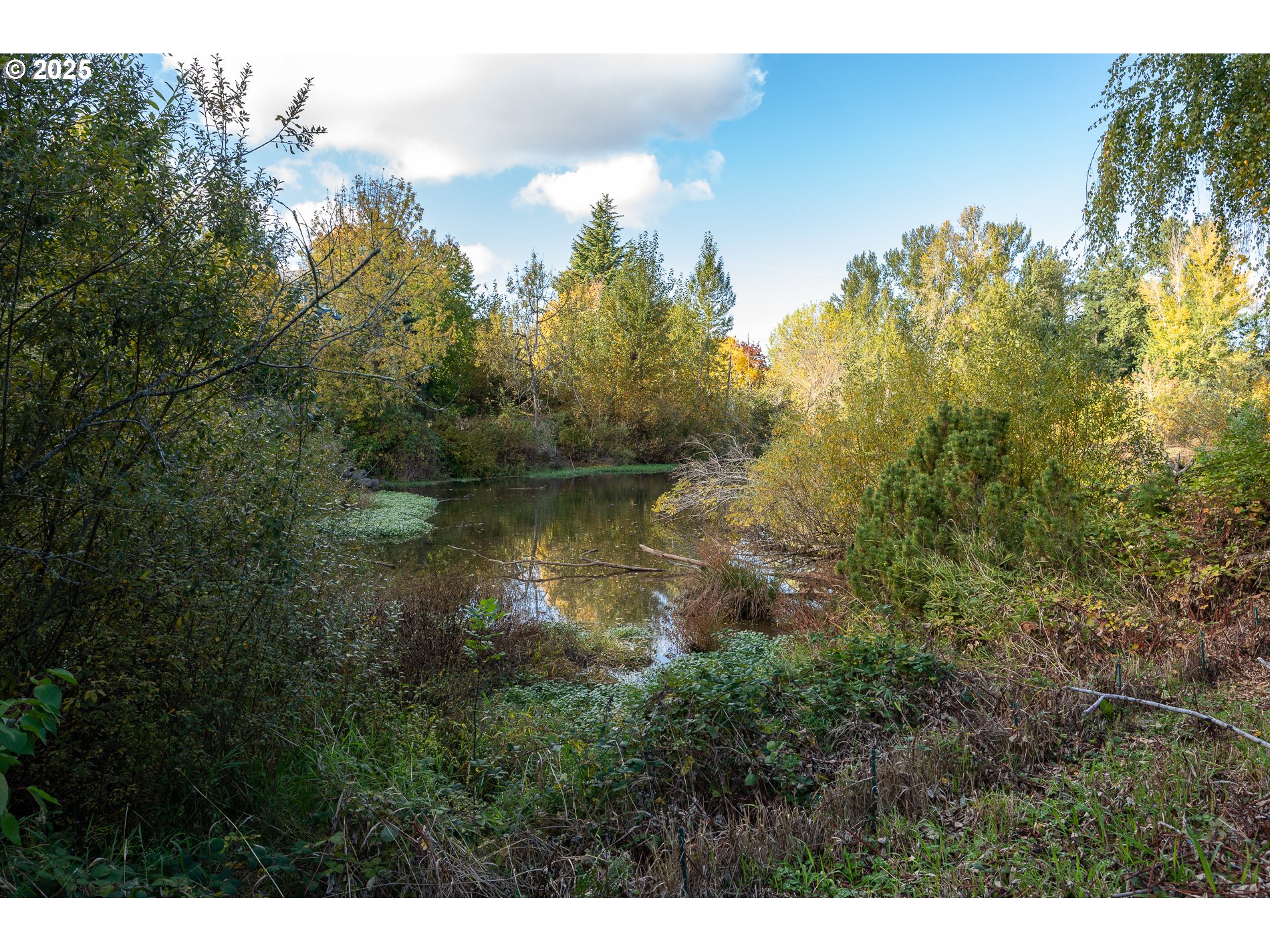 1963 Southwest Myers Place Gresham, OR 97080 - Photo 43 of 43 a view of a lake with houses