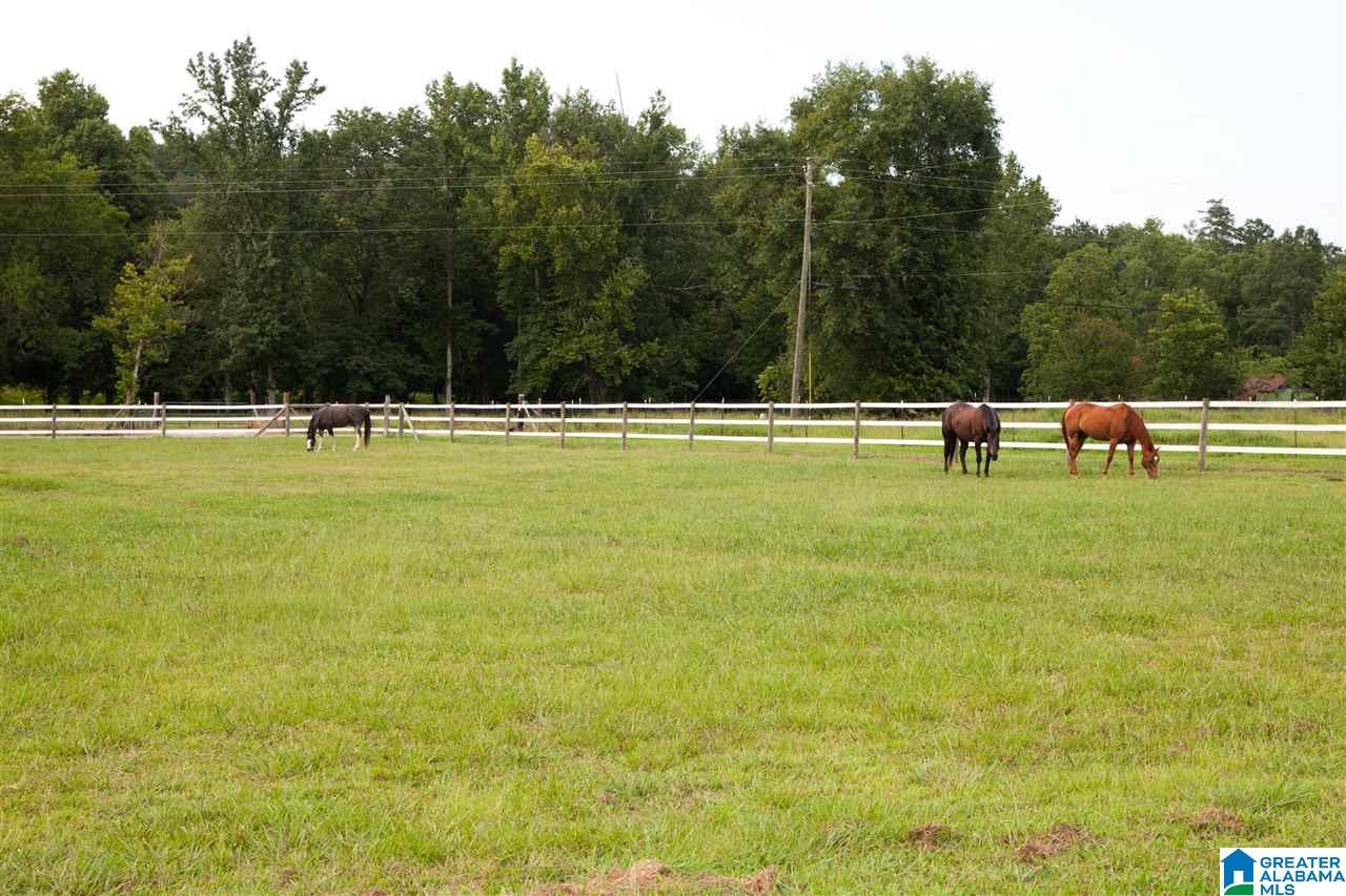 616 Seven Springs Road Wellington, AL 36279 - Photo 5 of 47