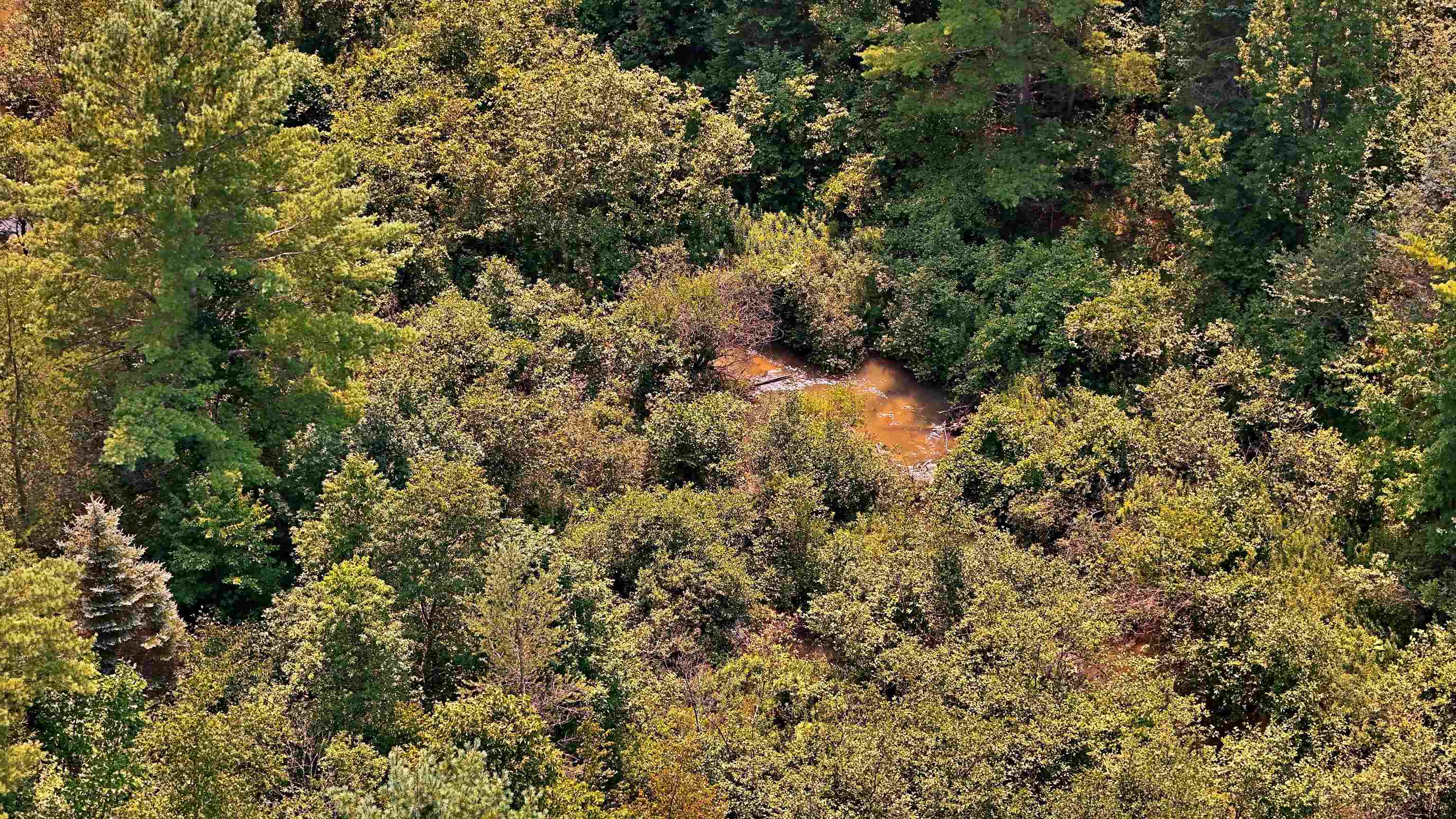 V/l North No 31 Road Manton, MI 49663 - Photo 12 of 14