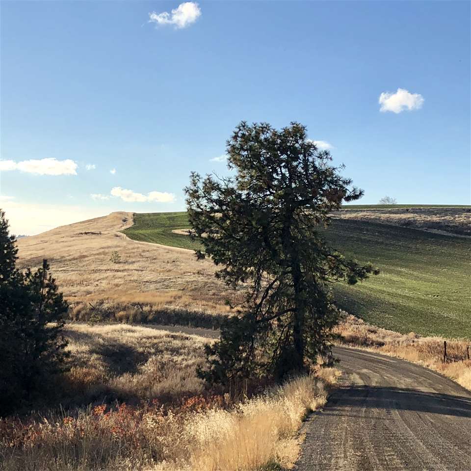 0 North Gerlach Road Spokane, WA 99217 - Photo 2 of 12