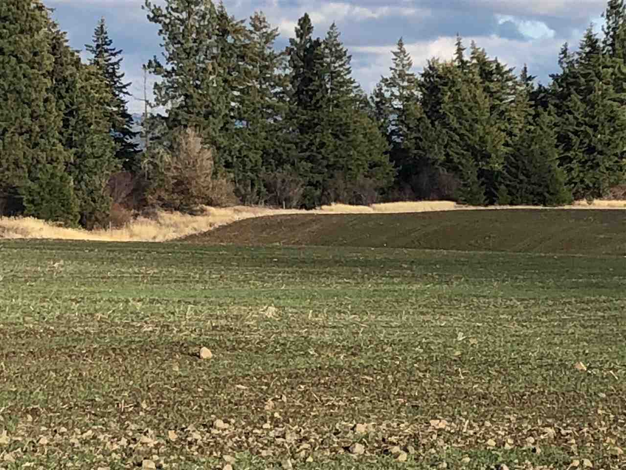 0 North Gerlach Road Spokane, WA 99217 - Photo 9 of 12