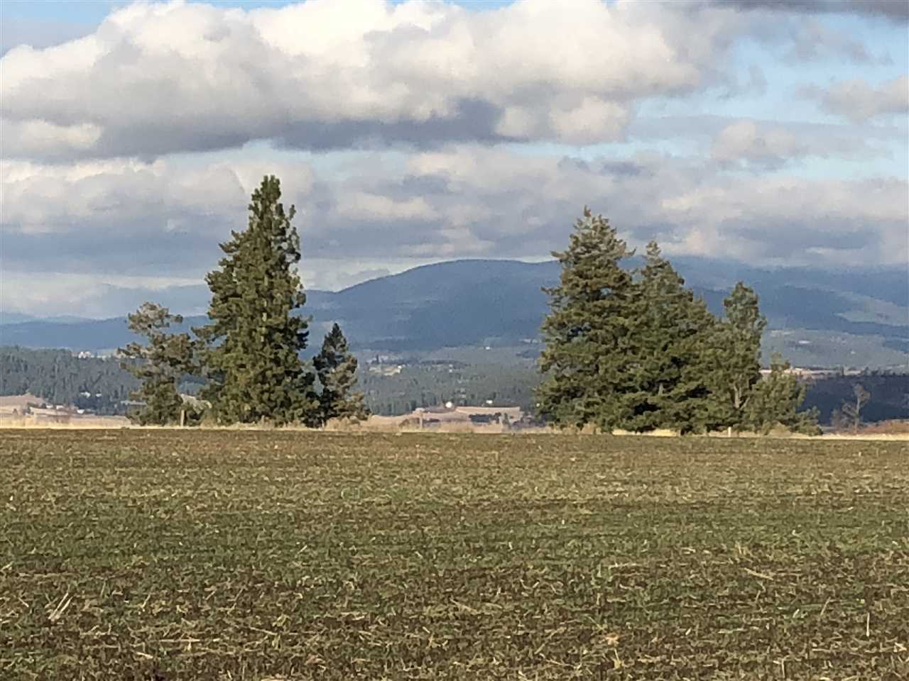0 North Gerlach Road Spokane, WA 99217 - Photo 10 of 12