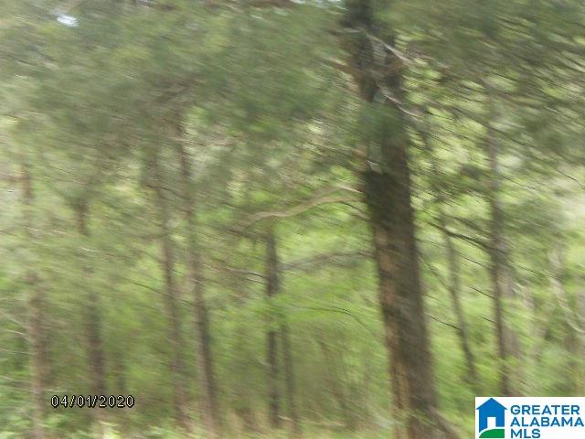 Pendley Creek Road, Unit 7 Carbon Hill, AL 35549 - Photo 9 of 10