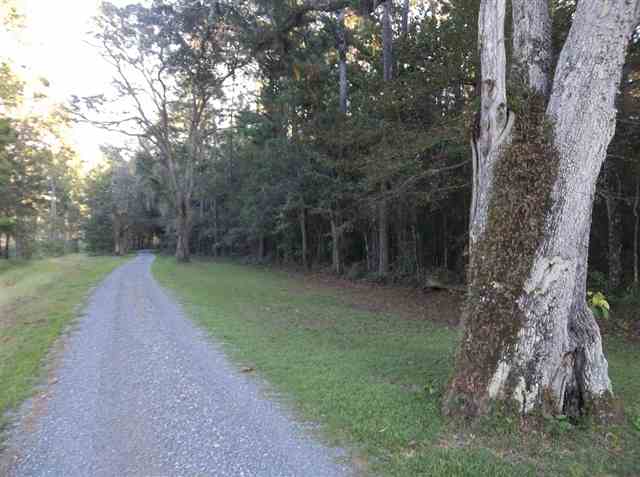 126 Will Road Monticello, FL 32344 - Photo 3 of 7 Gallery Image 3