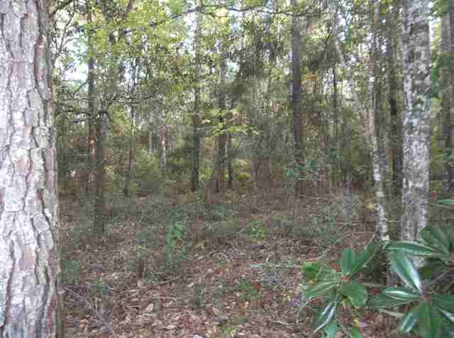 126 Will Road Monticello, FL 32344 - Photo 6 of 7 Gallery Image 6