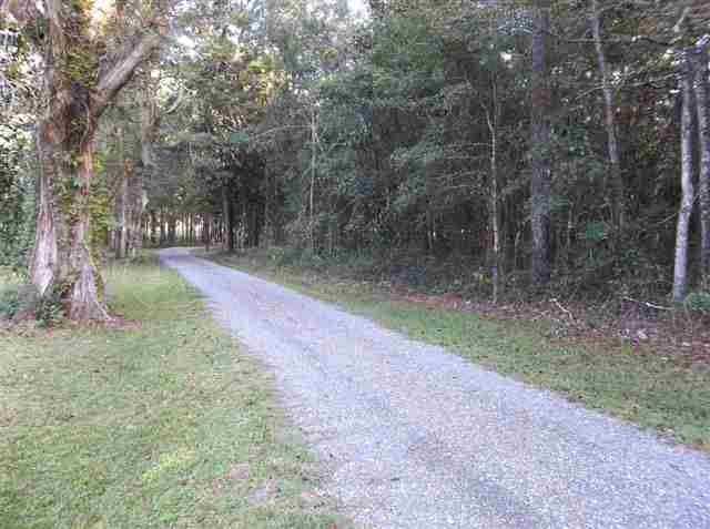 126 Will Road Monticello, FL 32344 - Photo 7 of 7 Gallery Image 7