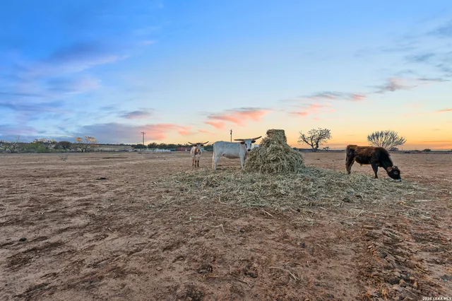 $1,150,000 | 561 Barth, Poteet, TX 78065