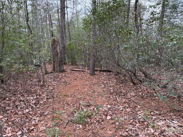 $37,500 | Tbd Deer Antler Road, Unit 82, Purlear, NC 28665