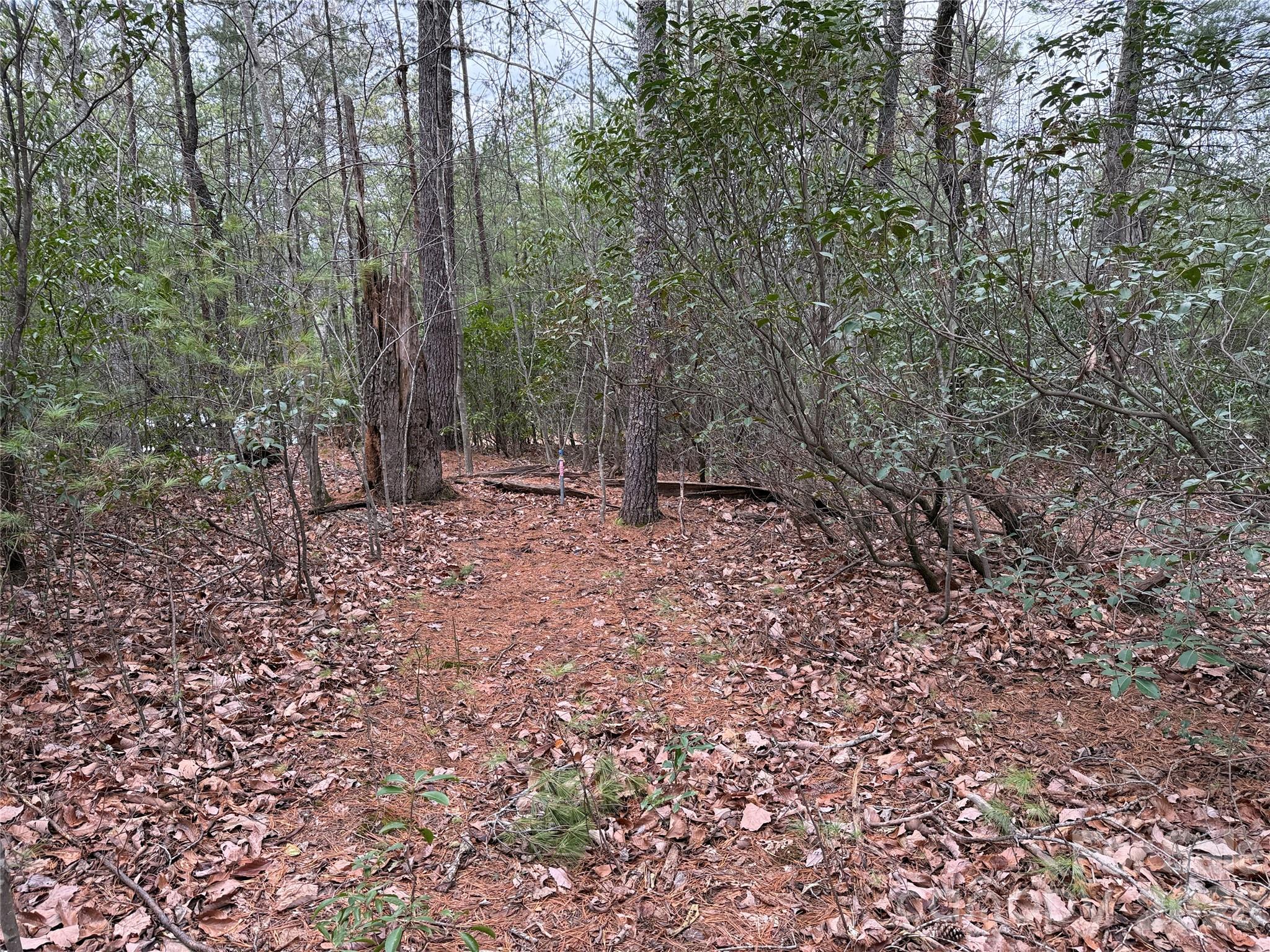 Tbd Deer Antler Road, Unit 82 Purlear, NC 28665 - Photo 11 of 37