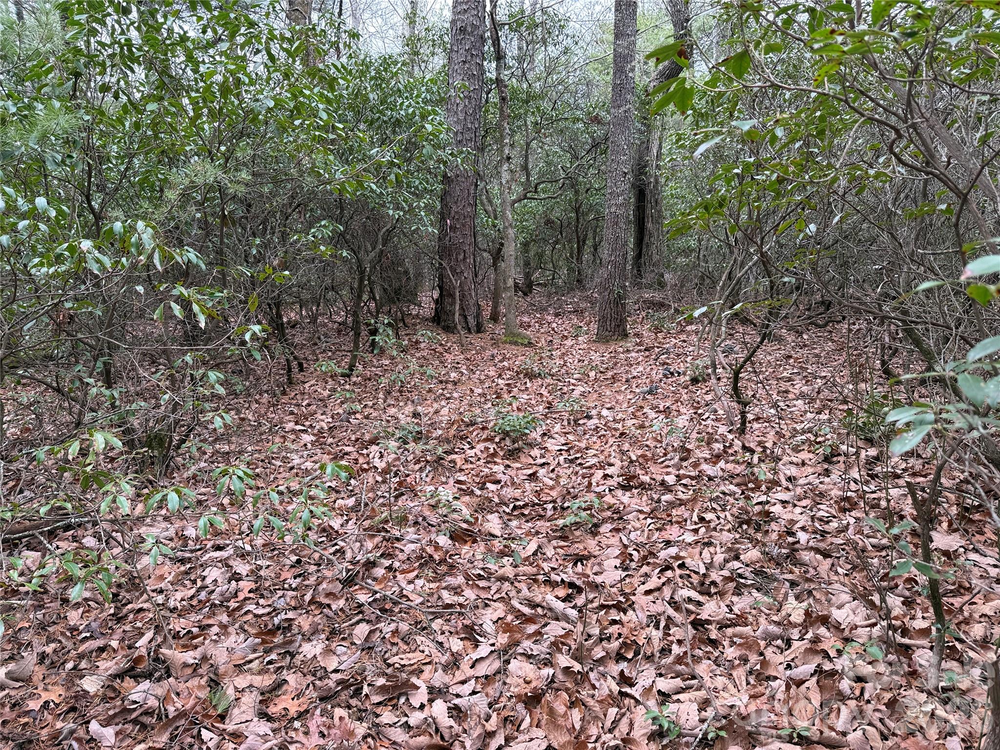 Tbd Deer Antler Road, Unit 82 Purlear, NC 28665 - Photo 12 of 37