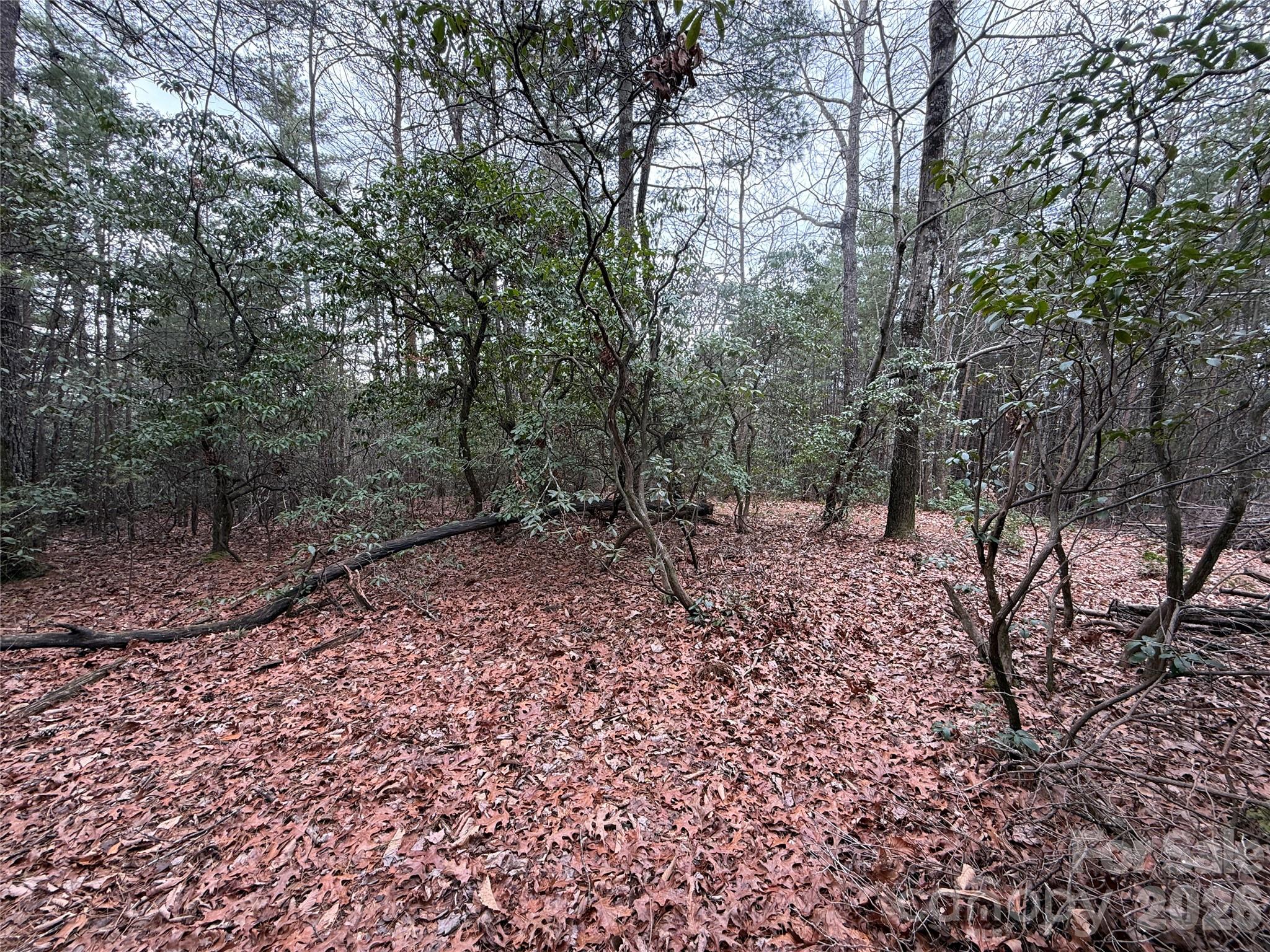 Tbd Deer Antler Road, Unit 82 Purlear, NC 28665 - Photo 13 of 37
