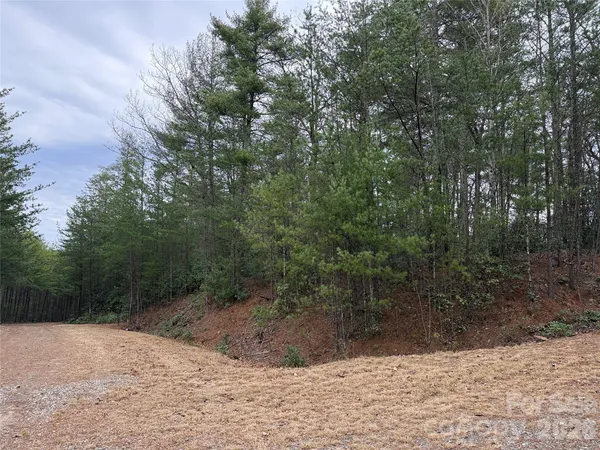 $37,500 | Tbd Deer Antler Road, Unit 82, Purlear, NC 28665