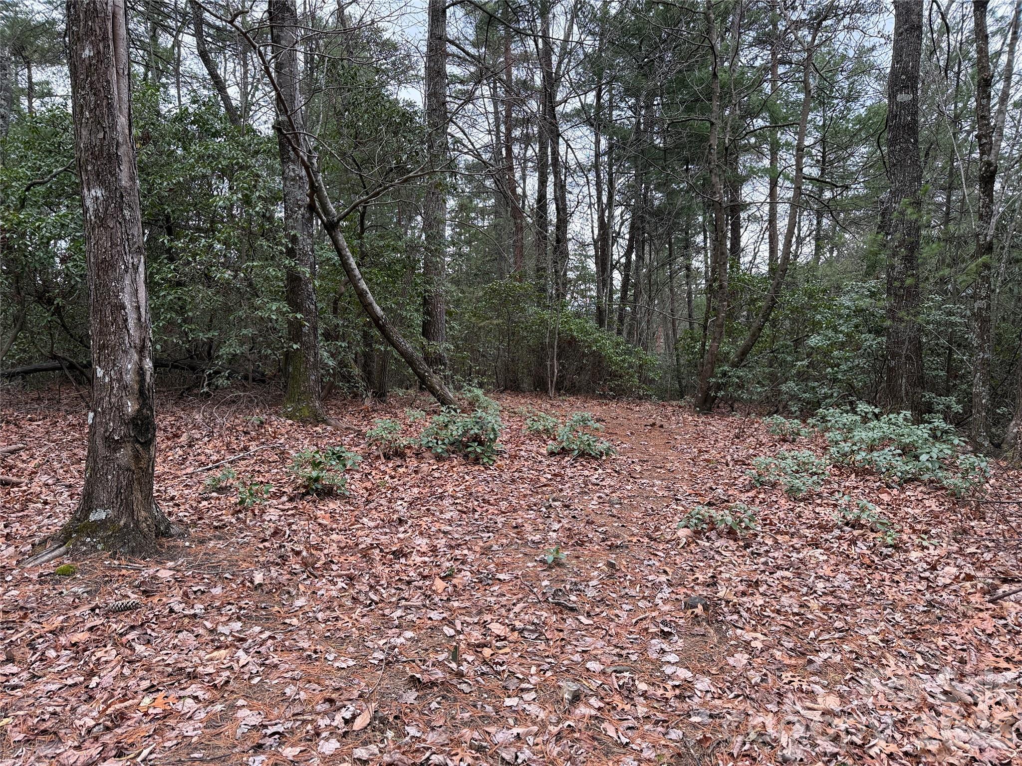 Tbd Deer Antler Road, Unit 82 Purlear, NC 28665 - Photo 2 of 37