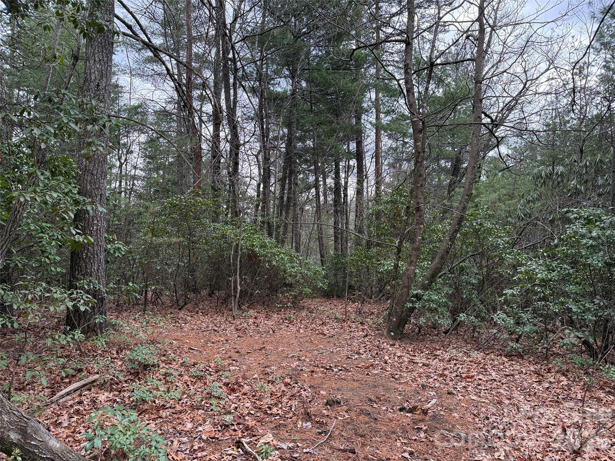 Tbd Deer Antler Road, Unit 82 Purlear, NC 28665 - Photo 8 of 37