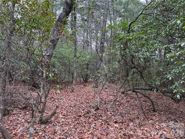 $37,500 | Tbd Deer Antler Road, Unit 82, Purlear, NC 28665