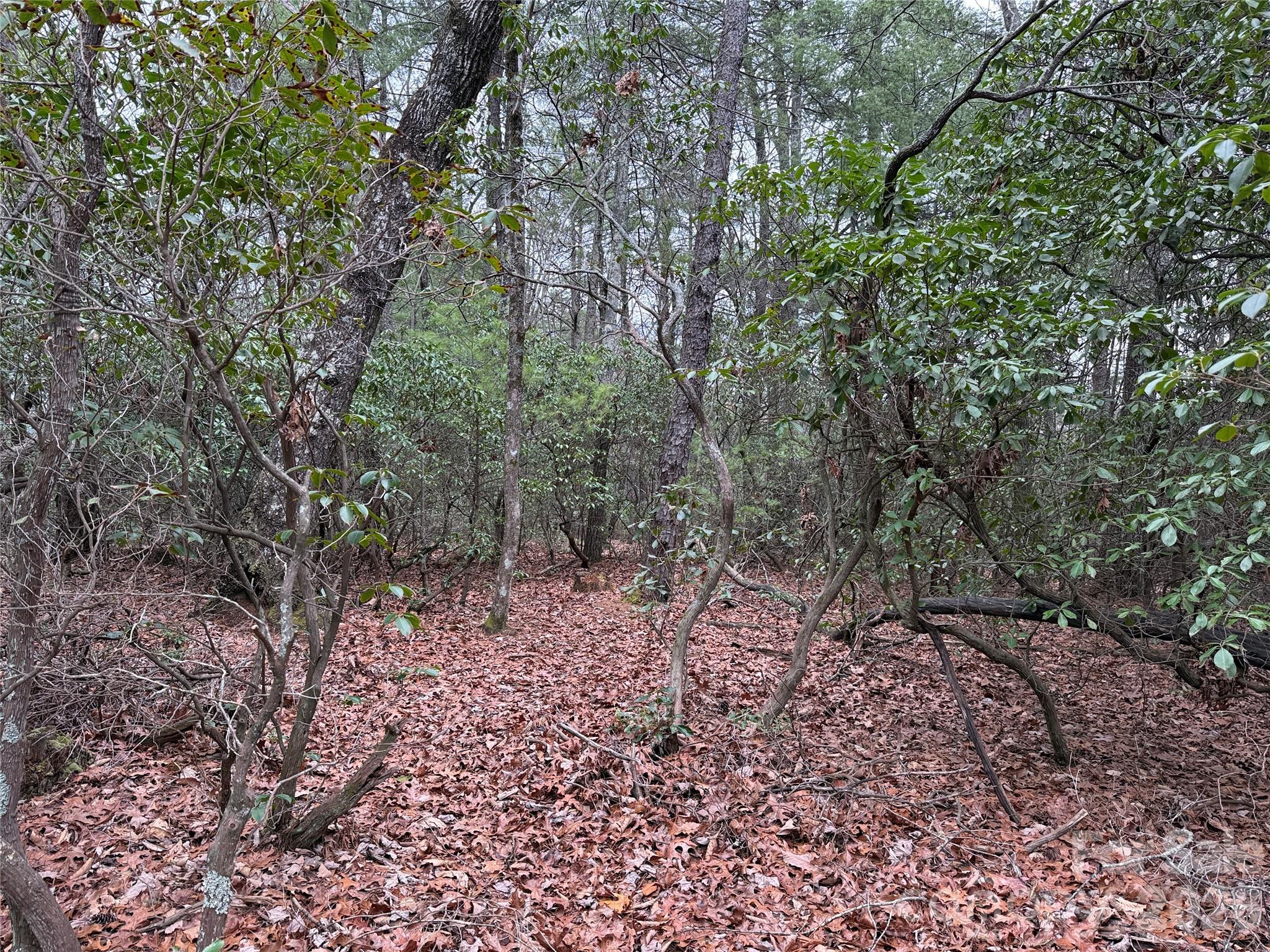 Tbd Deer Antler Road, Unit 82 Purlear, NC 28665 - Photo 9 of 37