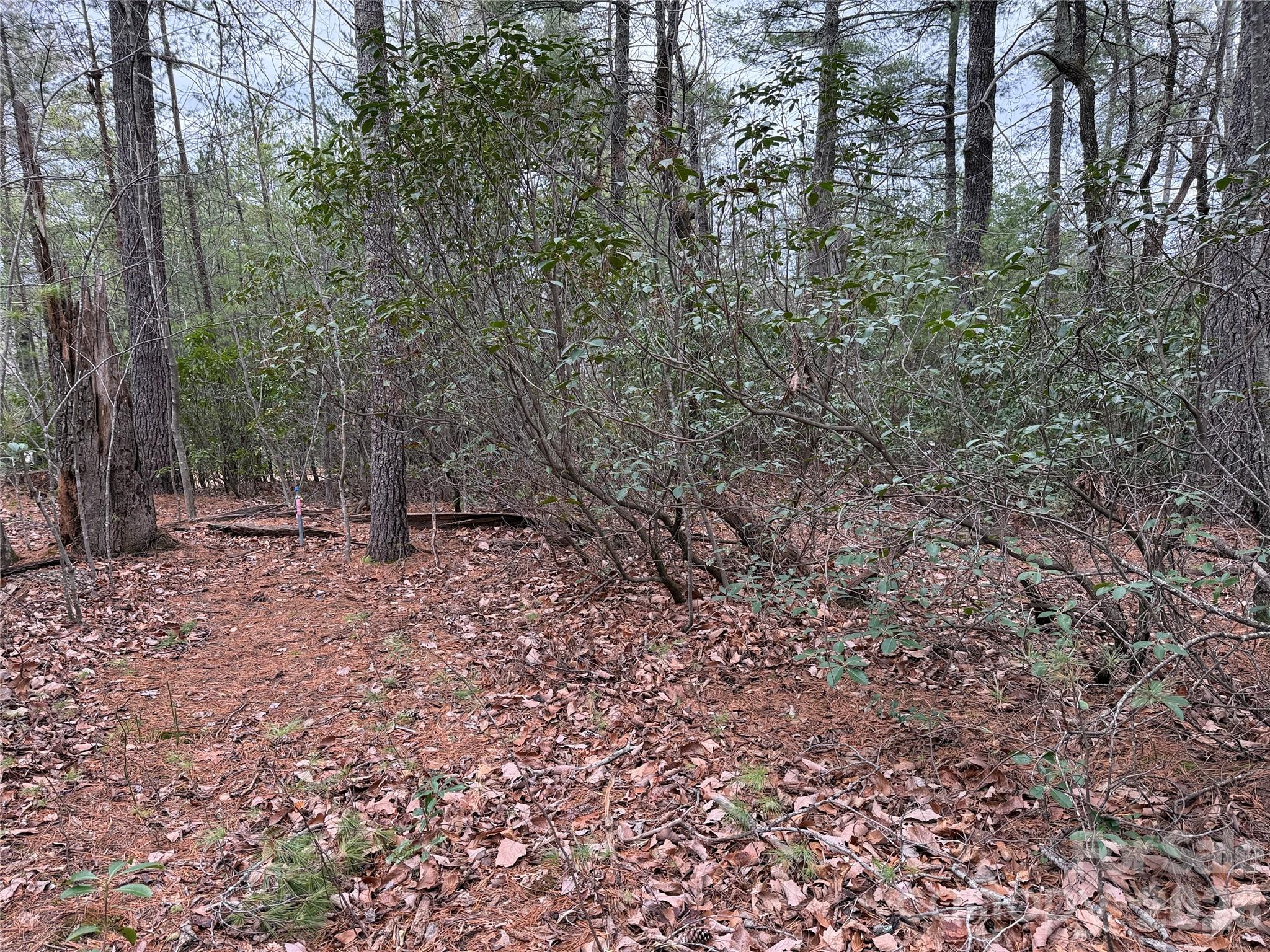 Tbd Deer Antler Road, Unit 82 Purlear, NC 28665 - Photo 10 of 37