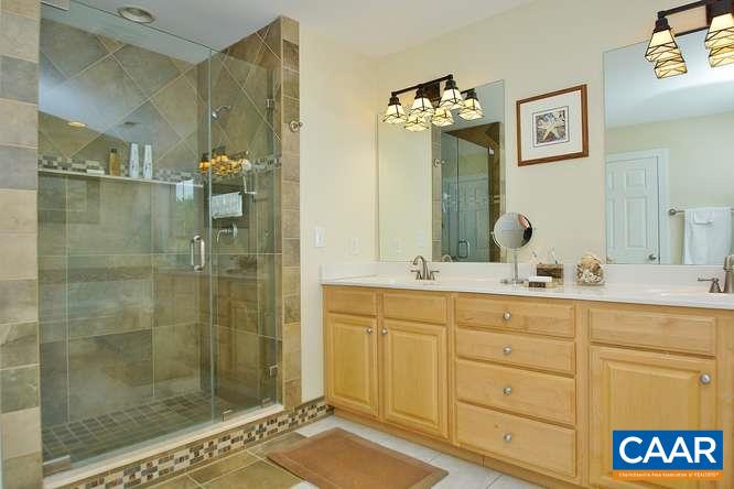 1029 Tilman Road Charlottesville, VA 22901 - Photo 18 of 33 a bathroom with a shower sink and mirror