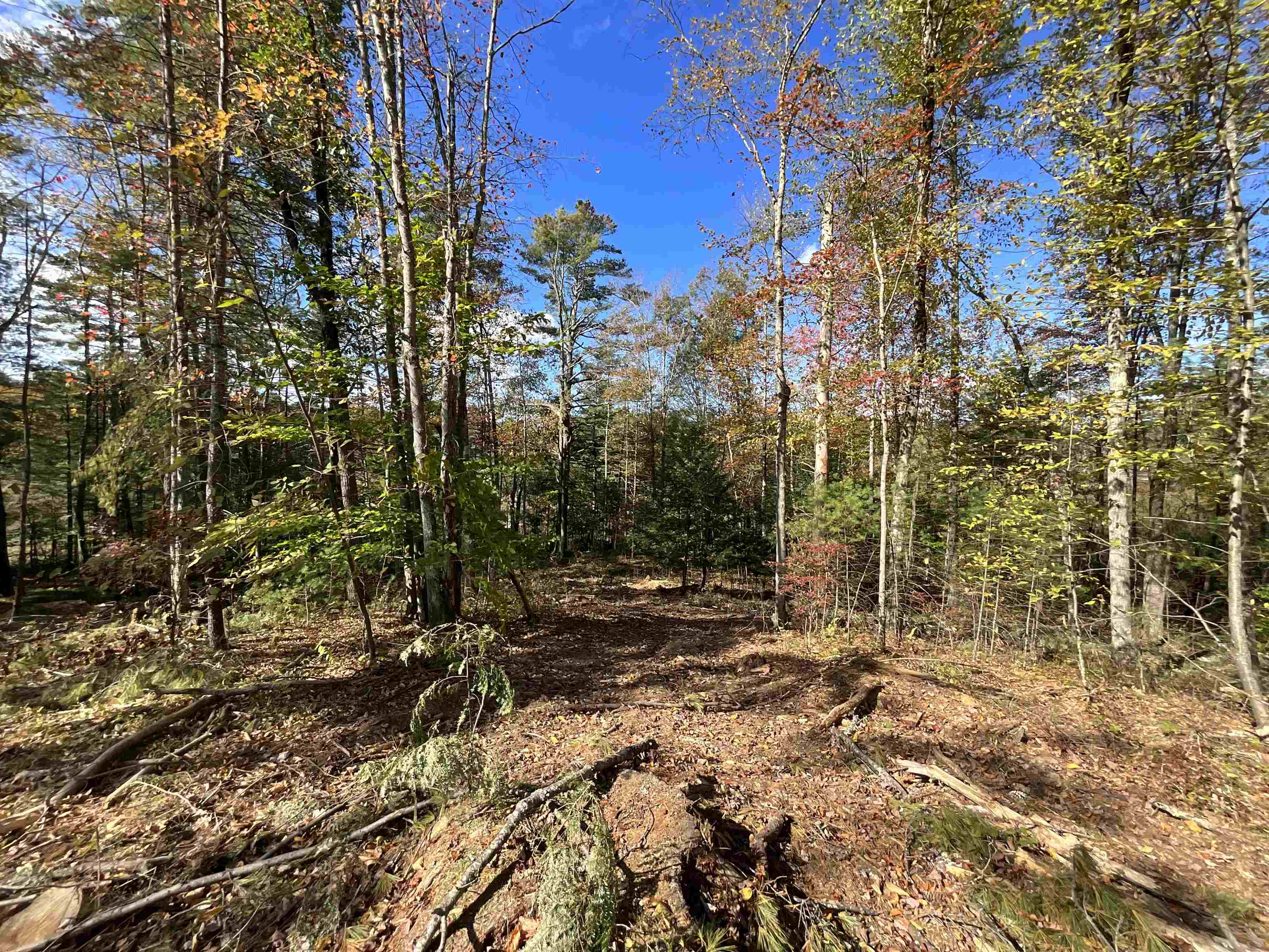 0 Scruton Pond Road, Unit 9/2 Barrington, NH 03825 - Photo 8 of 16 Gallery Image 8
