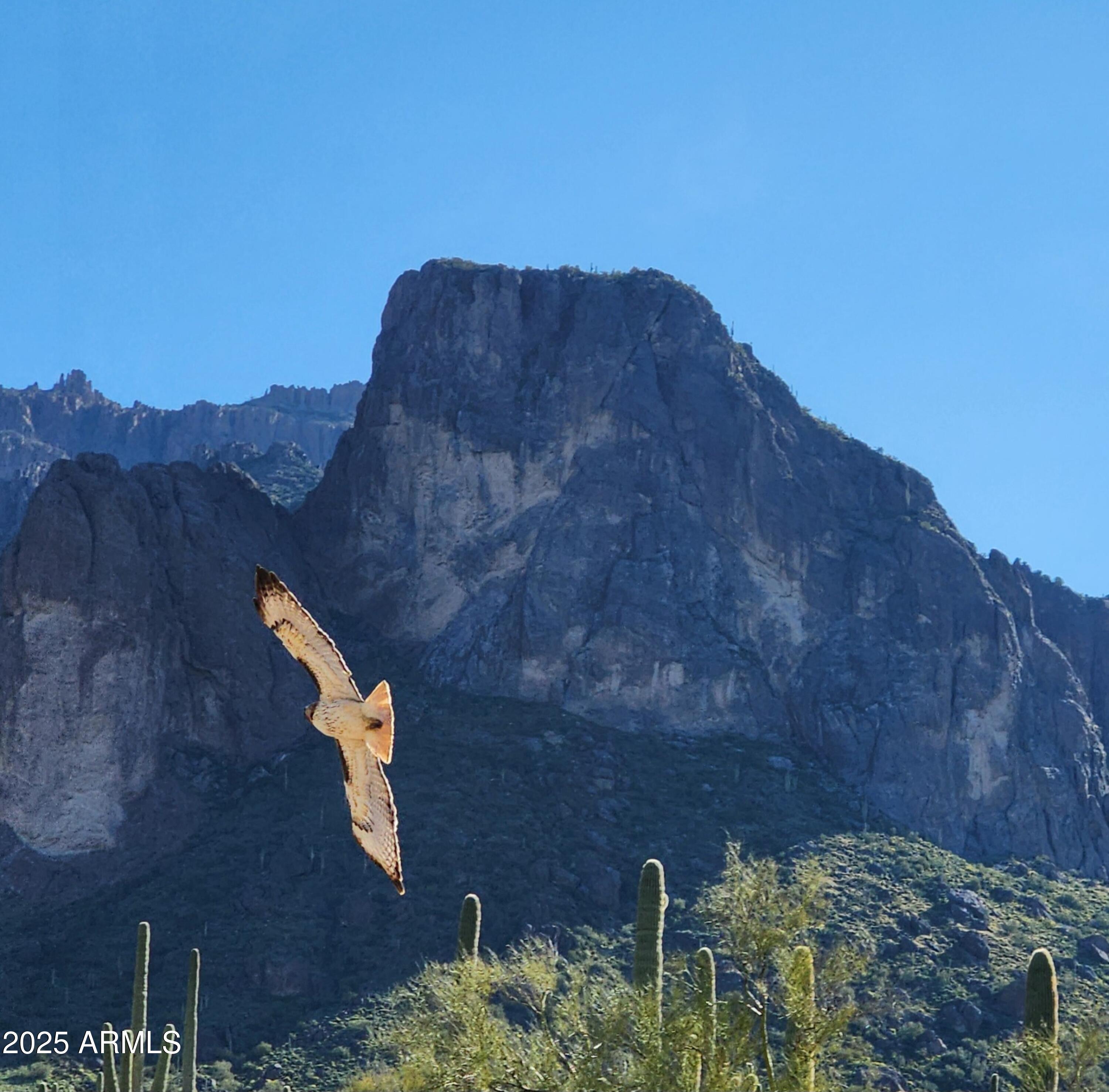 1255 North Holmes Road Apache Junction, AZ 85119 - Photo 67 of 72 View