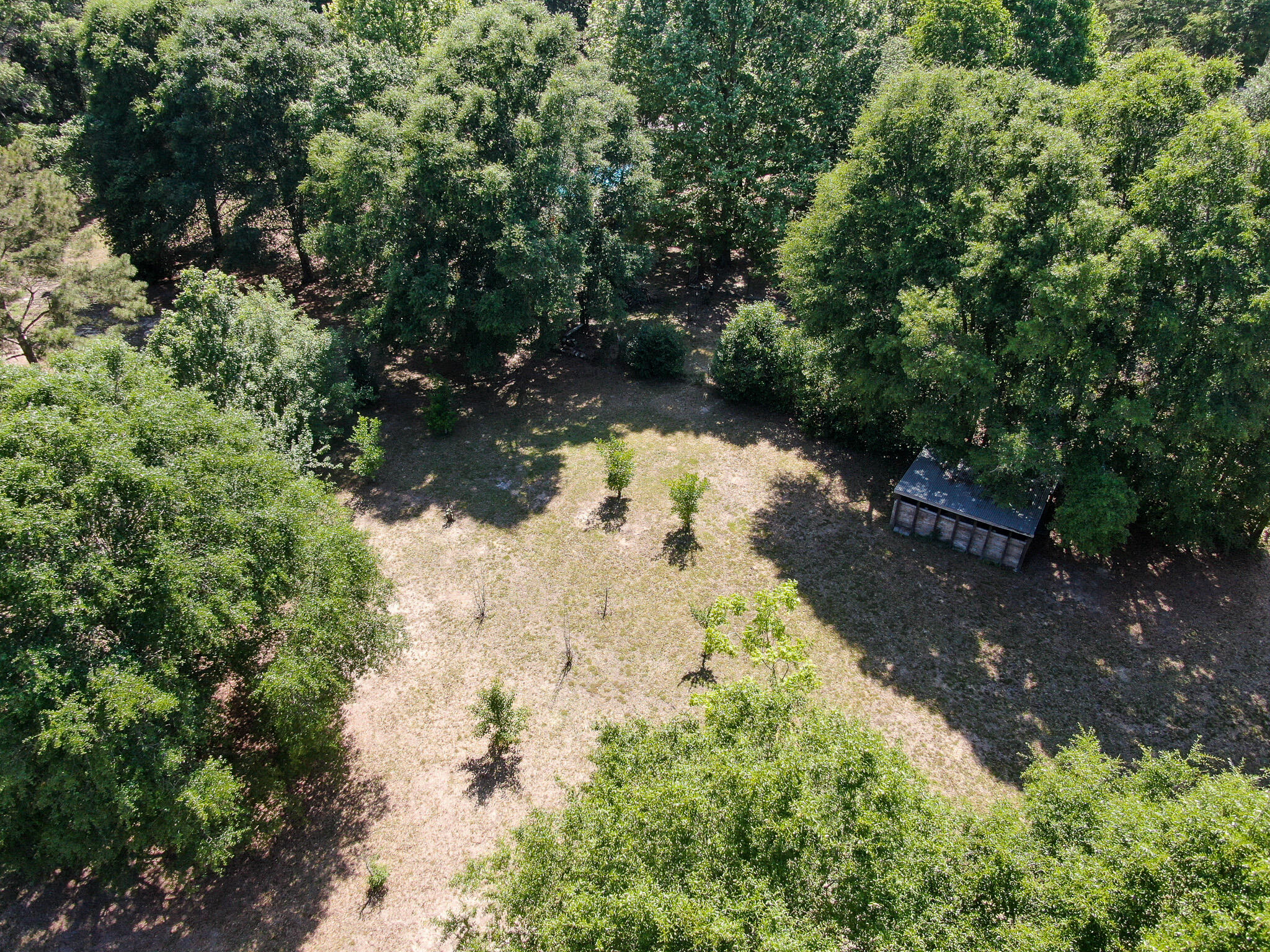 233 Boy Scout Road DeFuniak Springs, FL 32435 - Photo 43 of 45 DJI_0459