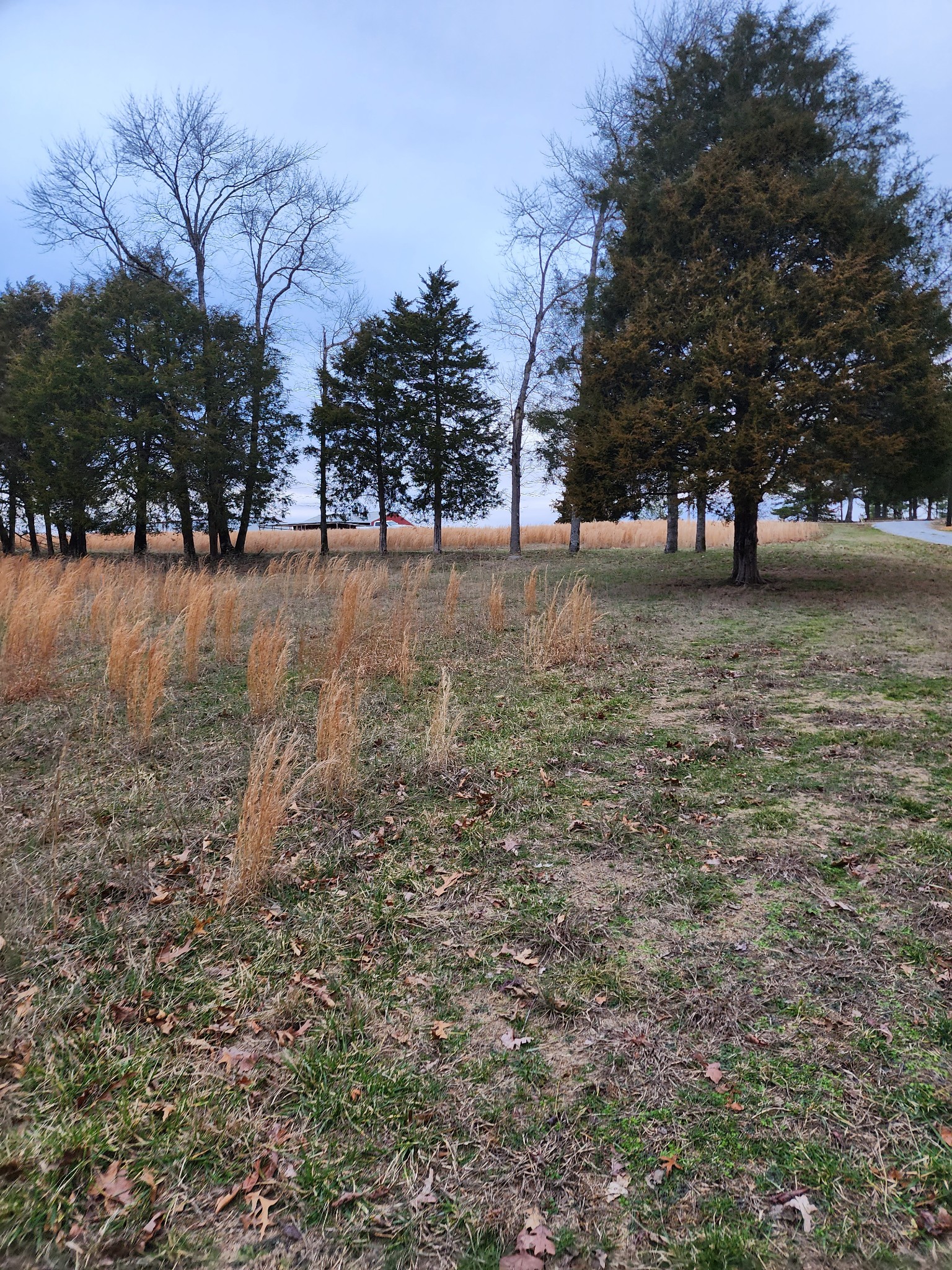 0 Jason Chapel Road Dickson, TN 37055 - Photo 2 of 8