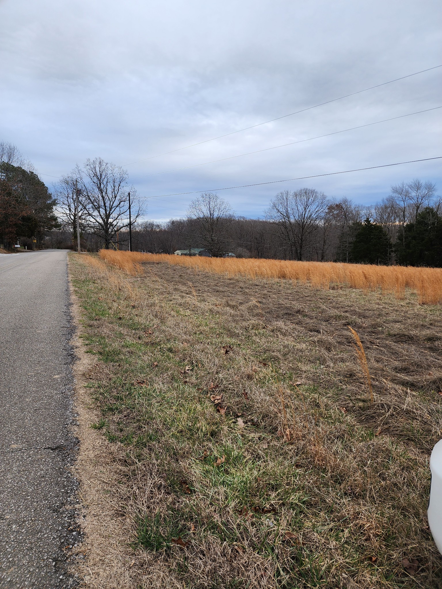 0 Jason Chapel Road Dickson, TN 37055 - Photo 3 of 8