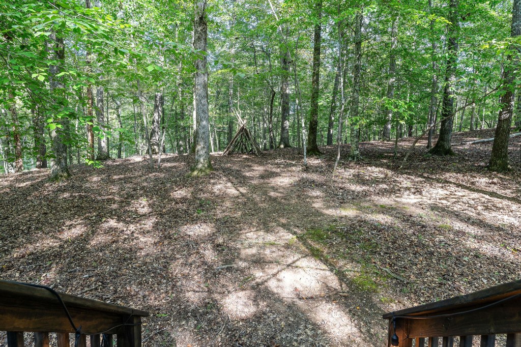 644 4 Seasons Road Smithville, TN 37166 - Photo 52 of 58 Gallery Image 52