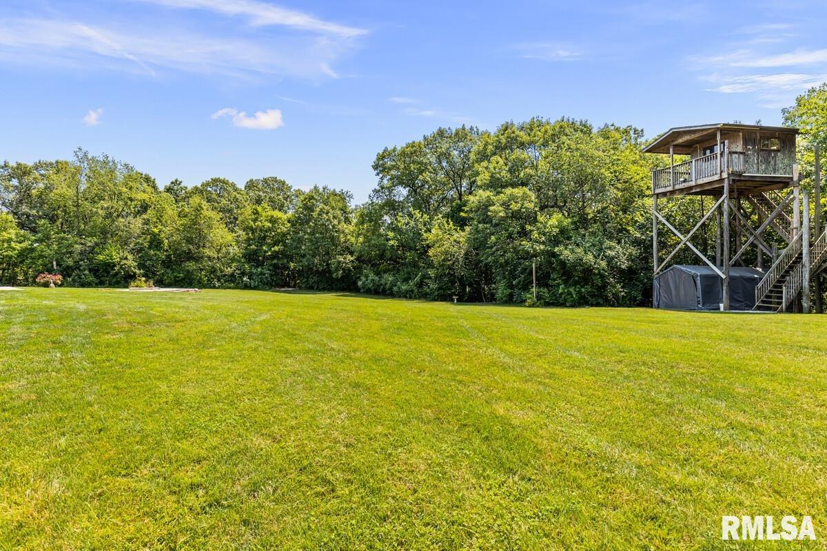 30441 Tyrrell Road Mackinaw, IL 61755 - Photo 47 of 49