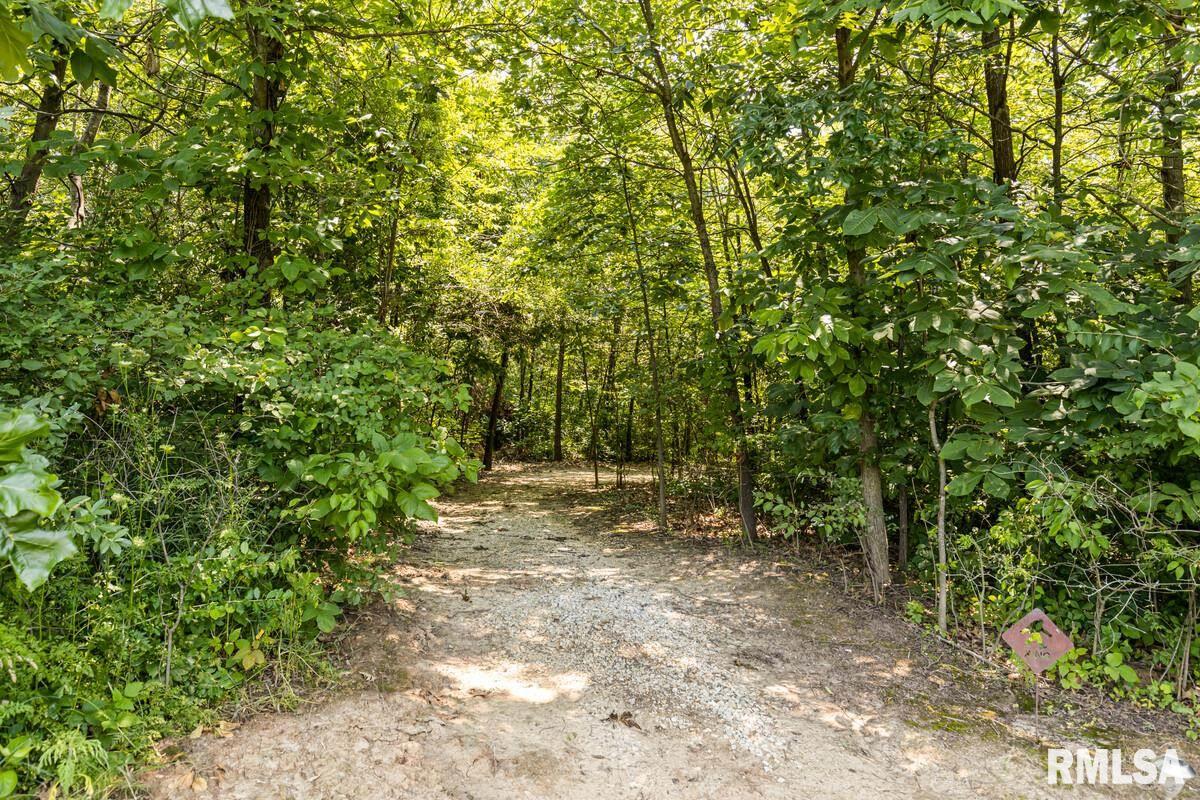 30441 Tyrrell Road Mackinaw, IL 61755 - Photo 49 of 49